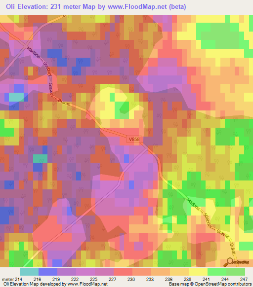 Oli,Latvia Elevation Map