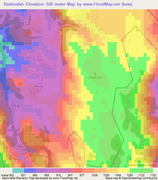 Bashnafah,Syria Elevation Map