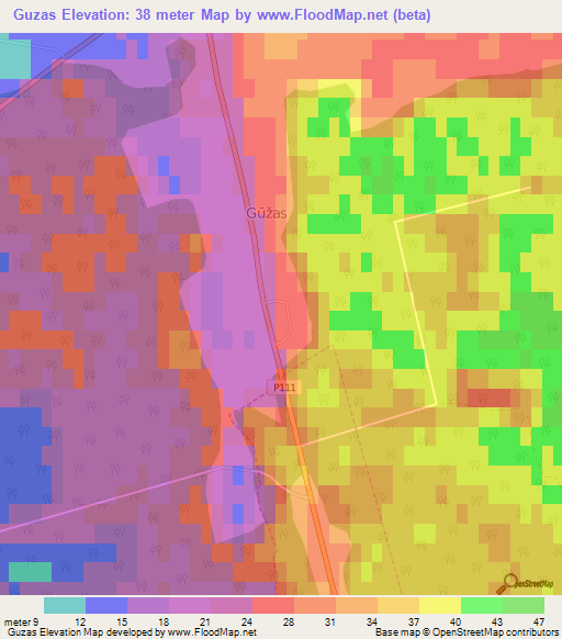 Guzas,Latvia Elevation Map