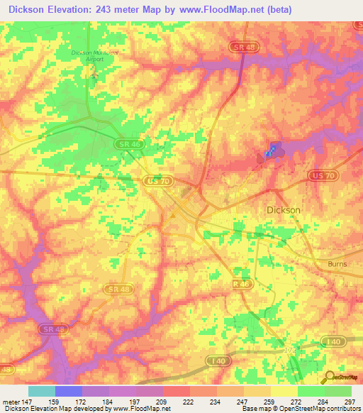 Dickson,US Elevation Map