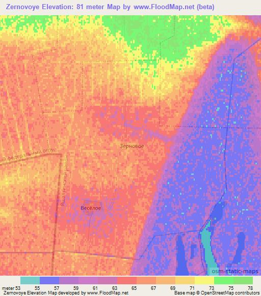 Zernovoye,Russia Elevation Map