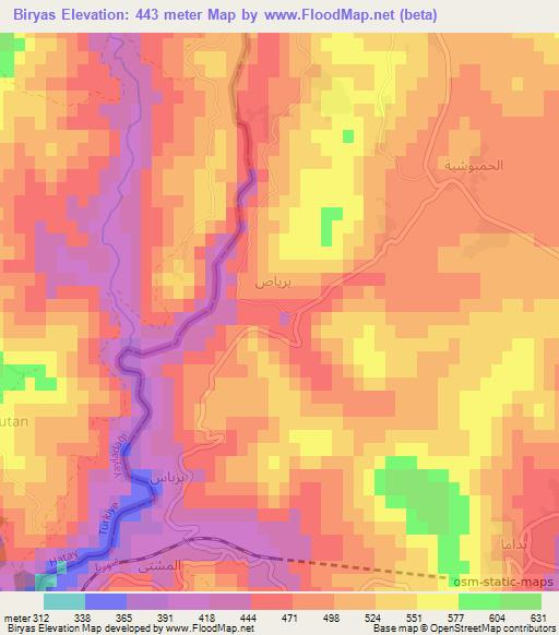 Biryas,Syria Elevation Map
