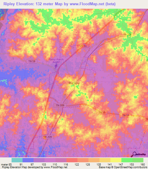 Ripley,US Elevation Map