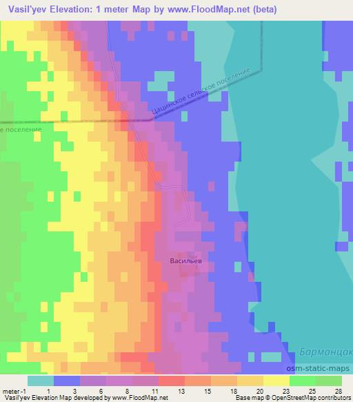 Vasil'yev,Russia Elevation Map