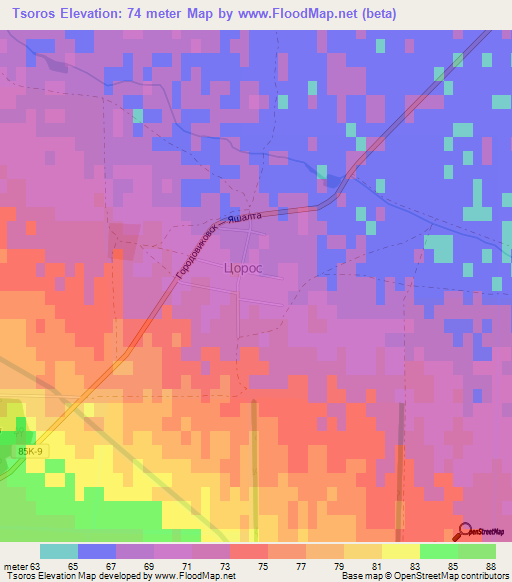 Tsoros,Russia Elevation Map