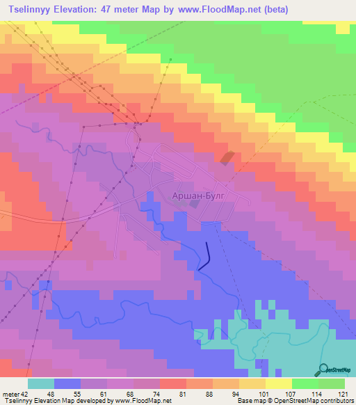 Tselinnyy,Russia Elevation Map