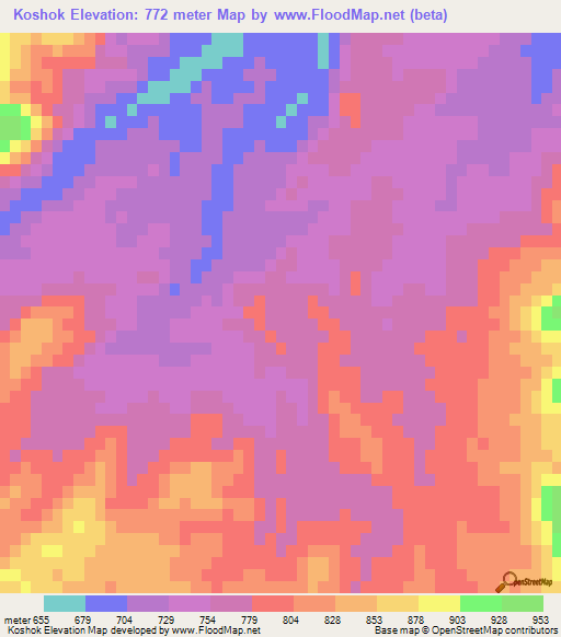 Koshok,Iran Elevation Map