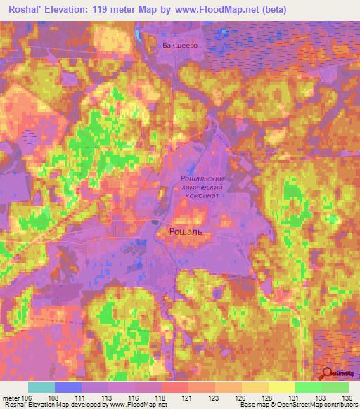 Roshal',Russia Elevation Map