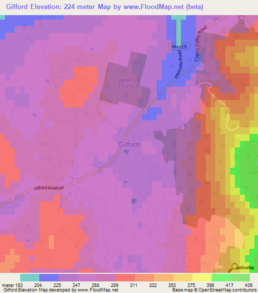 Gilford,US Elevation Map