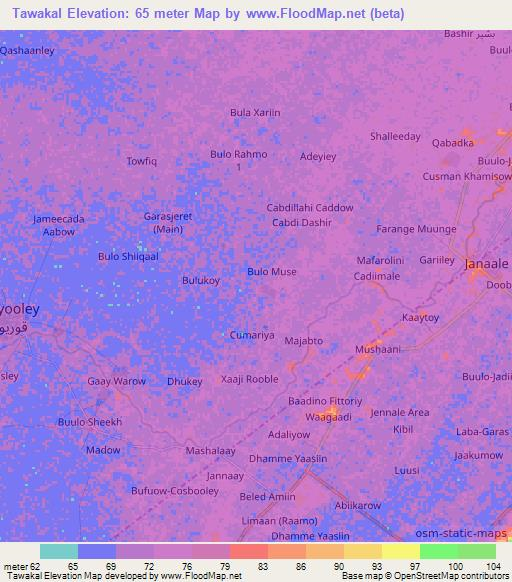 Tawakal,Somalia Elevation Map