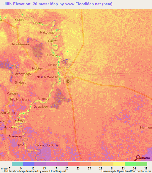 Jilib,Somalia Elevation Map