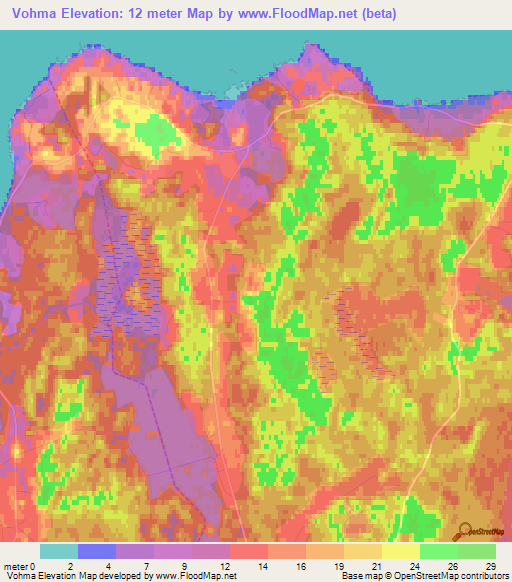 Vohma,Estonia Elevation Map