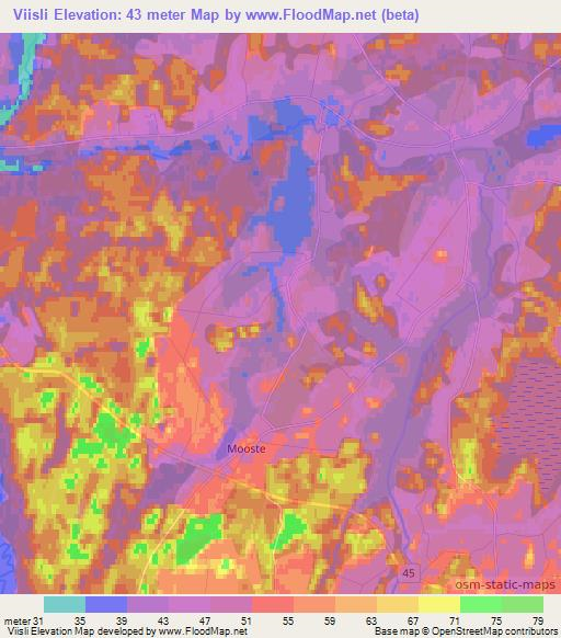 Viisli,Estonia Elevation Map