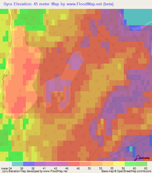 Uyru,Estonia Elevation Map