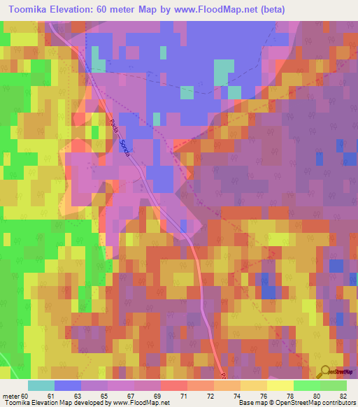 Toomika,Estonia Elevation Map