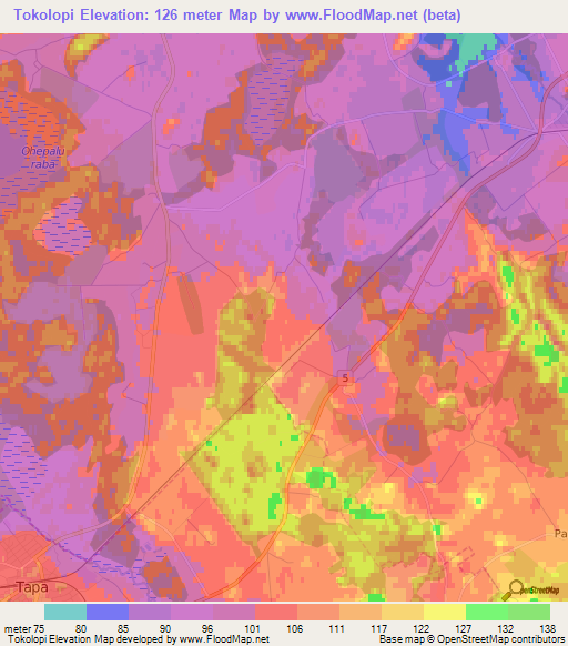 Tokolopi,Estonia Elevation Map
