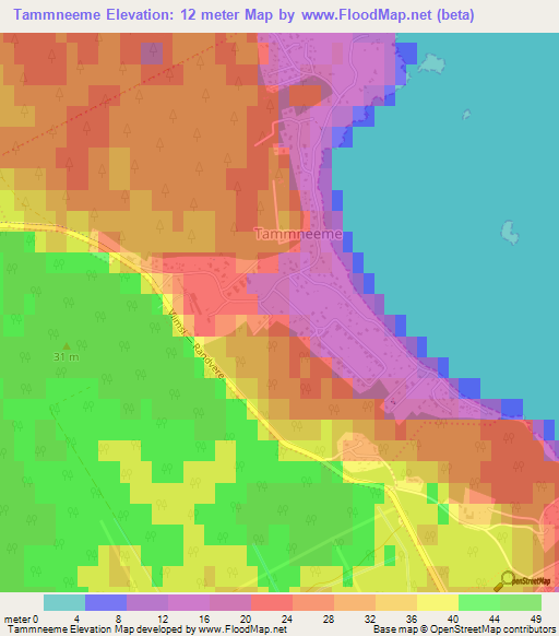 Tammneeme,Estonia Elevation Map