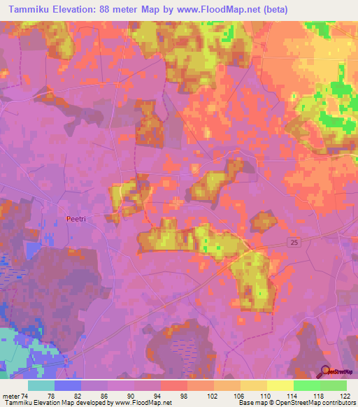 Tammiku,Estonia Elevation Map