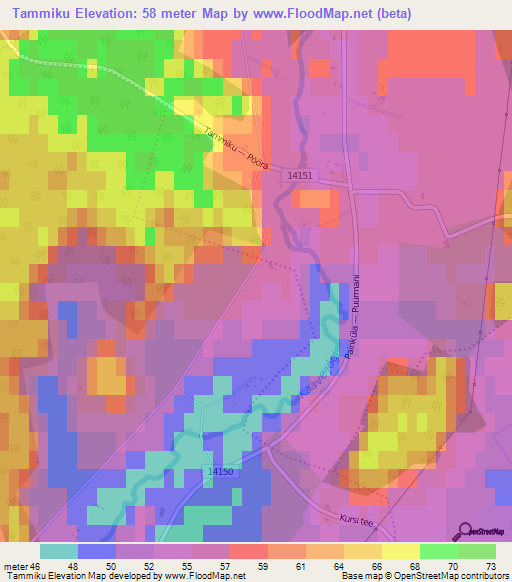 Tammiku,Estonia Elevation Map