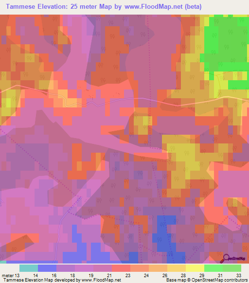 Tammese,Estonia Elevation Map