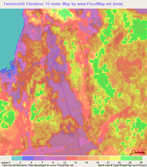 Tammeniidi,Estonia Elevation Map