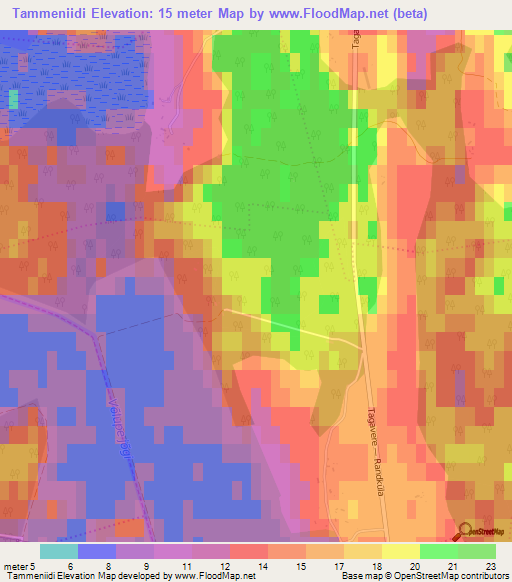 Tammeniidi,Estonia Elevation Map