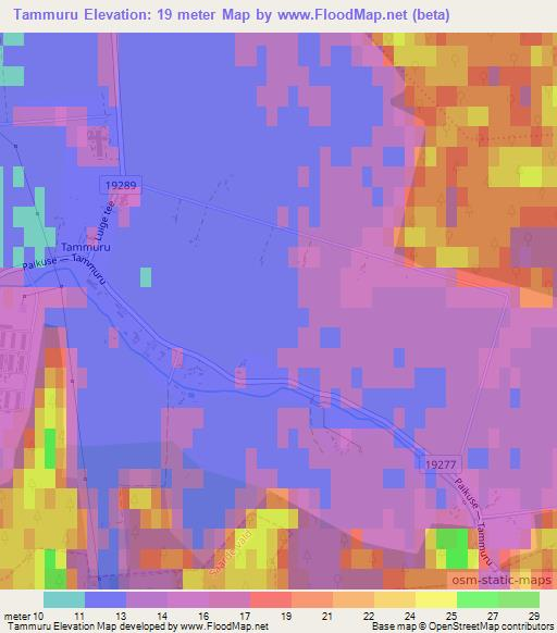 Tammuru,Estonia Elevation Map