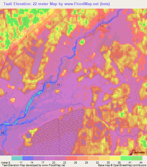 Taali,Estonia Elevation Map