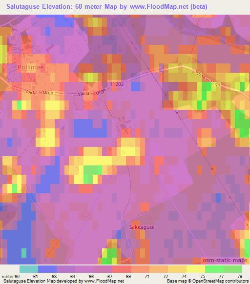Salutaguse,Estonia Elevation Map