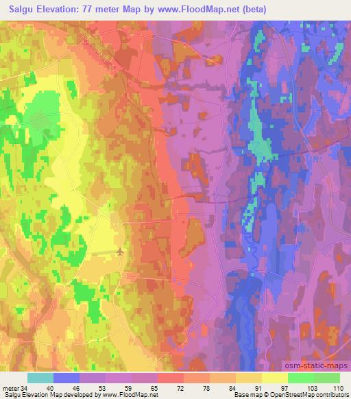Salgu,Estonia Elevation Map