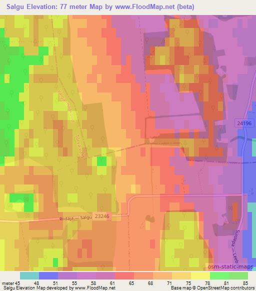 Salgu,Estonia Elevation Map