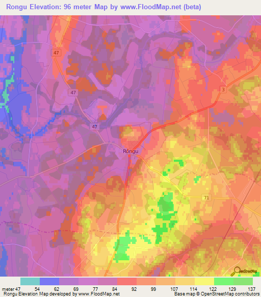 Rongu,Estonia Elevation Map