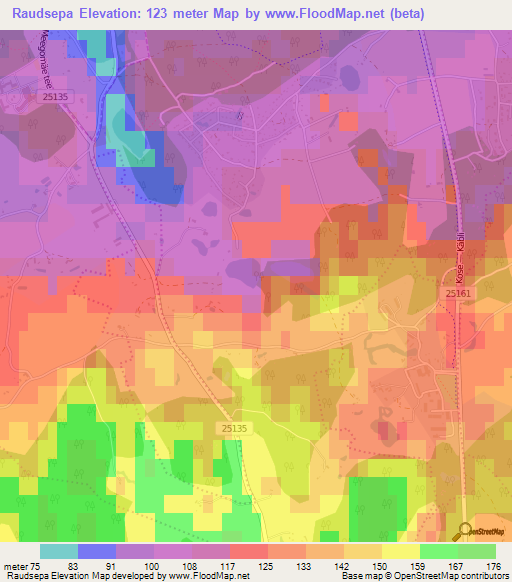 Raudsepa,Estonia Elevation Map