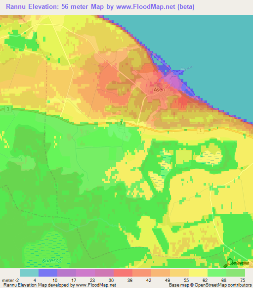 Rannu,Estonia Elevation Map