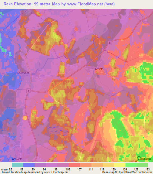 Raka,Estonia Elevation Map