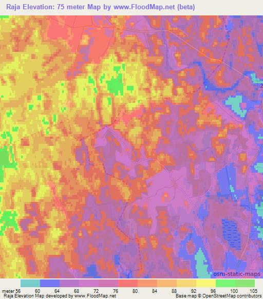 Raja,Estonia Elevation Map