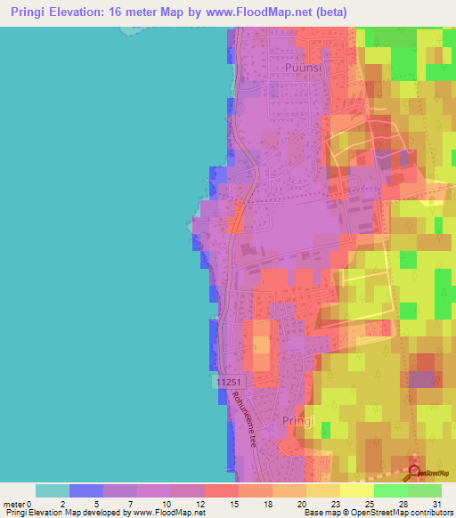 Pringi,Estonia Elevation Map