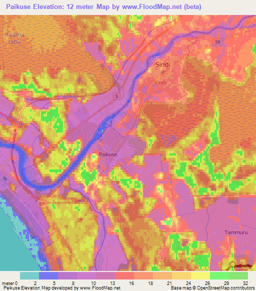 Paikuse,Estonia Elevation Map