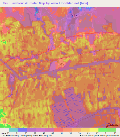 Oru,Estonia Elevation Map