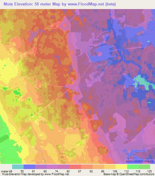 Muta,Estonia Elevation Map