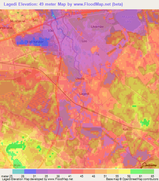 Lagedi,Estonia Elevation Map