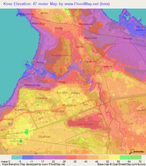 Kose,Estonia Elevation Map