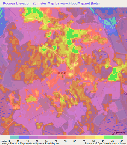 Koonga,Estonia Elevation Map