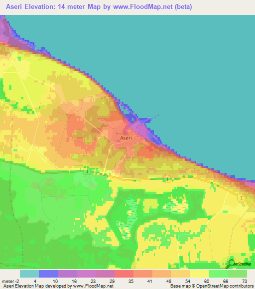 Aseri,Estonia Elevation Map