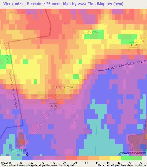 Vienzindziai,Lithuania Elevation Map