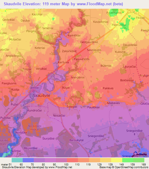 Skaudvile,Lithuania Elevation Map