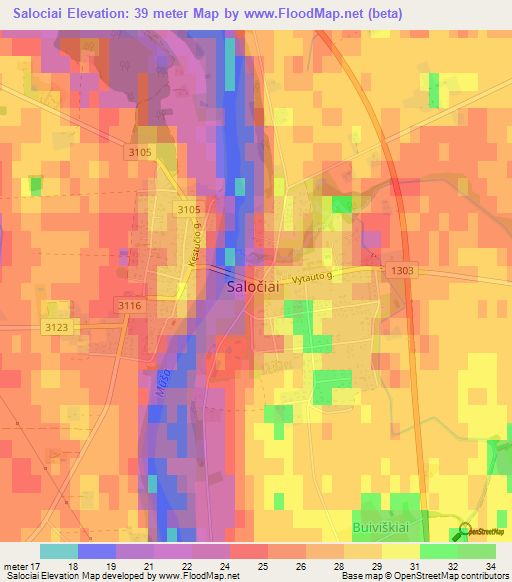Salociai,Lithuania Elevation Map