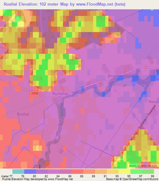 Rusliai,Lithuania Elevation Map