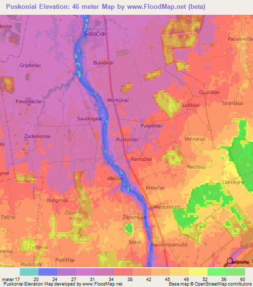 Puskoniai,Lithuania Elevation Map