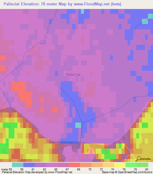 Palieciai,Lithuania Elevation Map